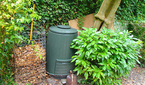 haciendo compost